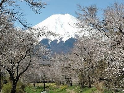 Pension Sumomo No Ki Oshino Dış mekan fotoğraf
