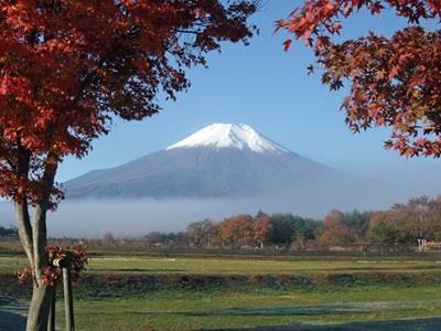 Pension Sumomo No Ki Oshino Dış mekan fotoğraf